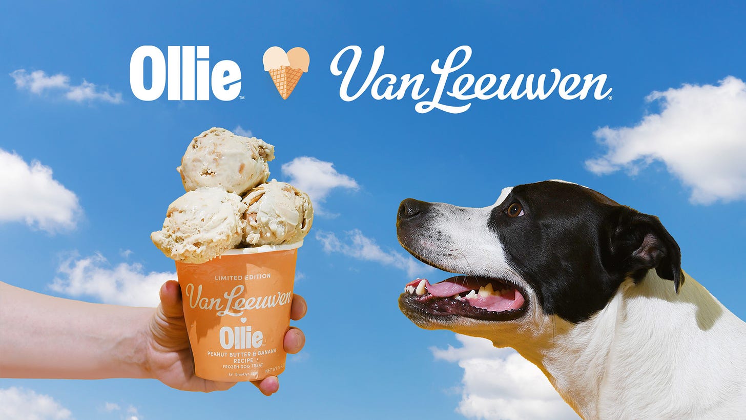 Ollie's Dog Ice Cream