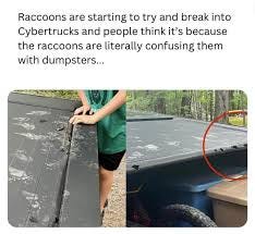 Georjah - 🦝 🗑️ | Facebook