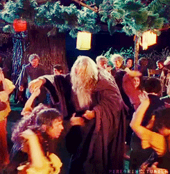 A GIF of Gandalf dancing at Frodo and Bilbo’s birthday party from the movie The Fellowship of the Ring.