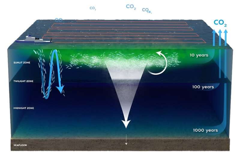 The case for adding iron to the ocean for carbon dioxide removal