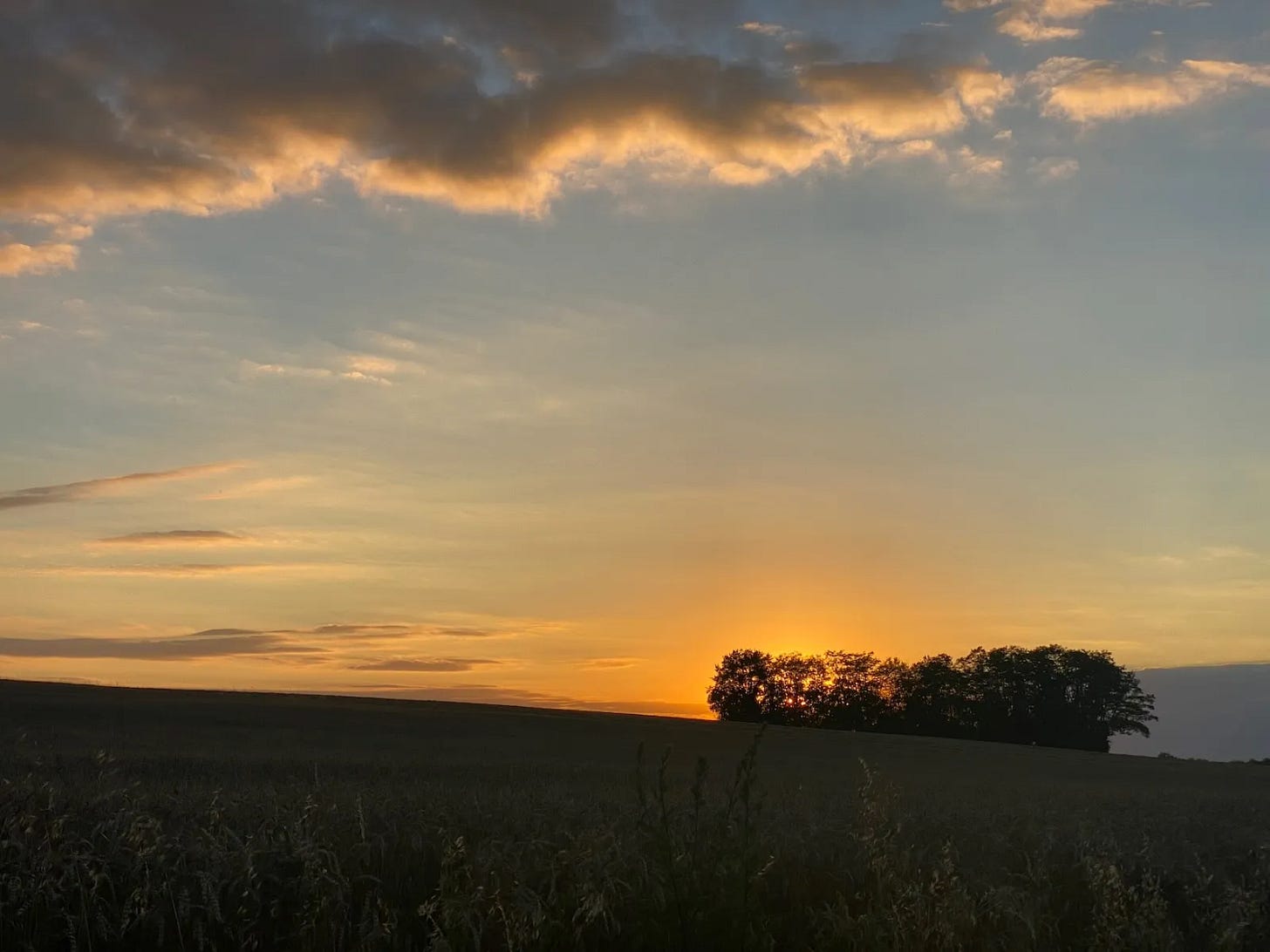 Dans les champs Dans les champs