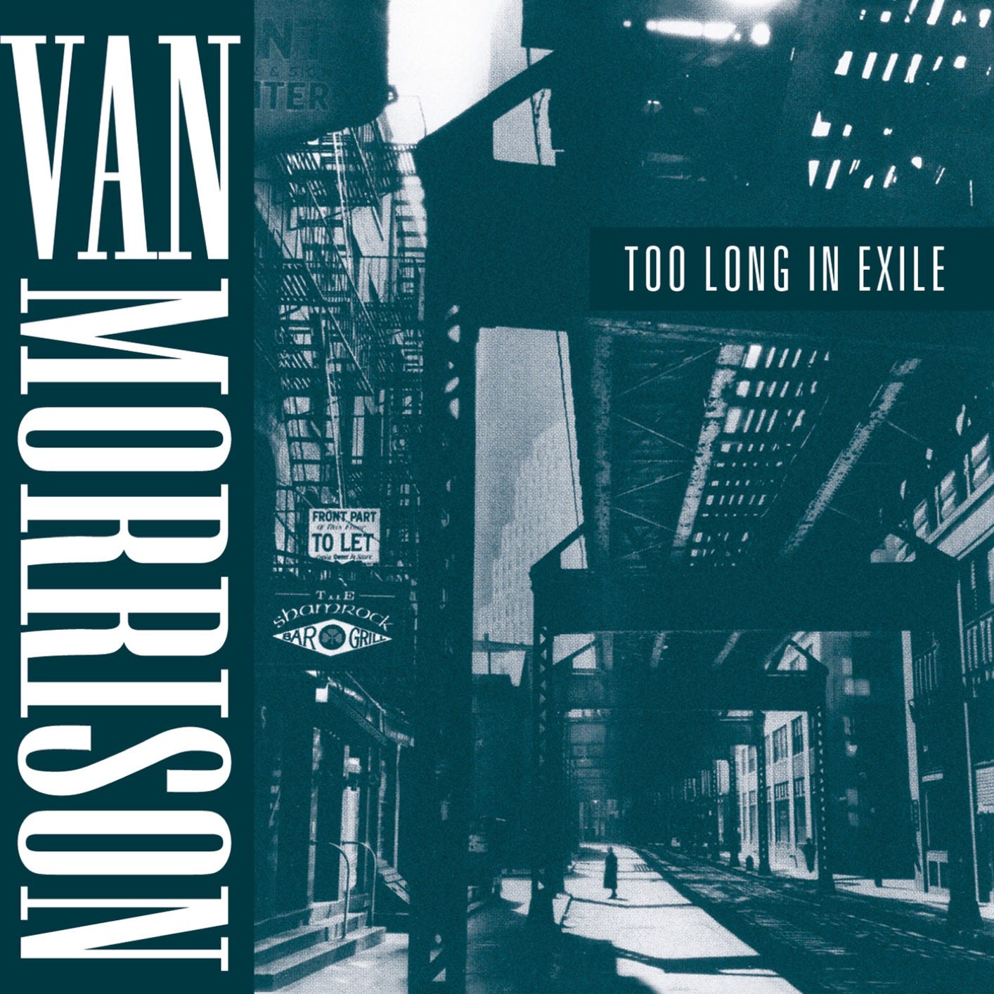 Van Morrison - Too Long in Exile (Remastered) (1993/2020) [24bit FLAC ...