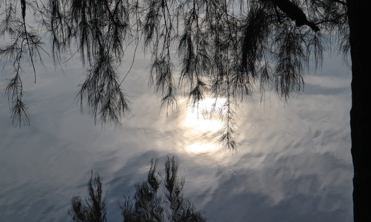 tree reflection in backwater opposite to Talashil Tondavali beach