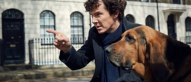 benedict cumberbatch sherlock holmes dog season 4