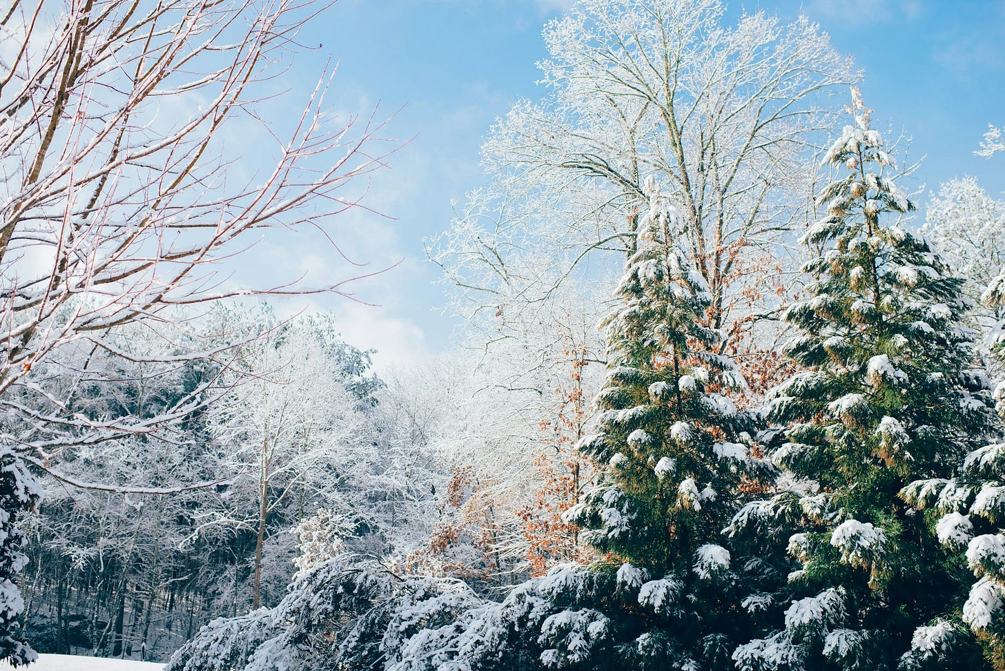 A Functional Medicine Approach to Seasonal Affective Disorder (SAD) Treatment and Management A Functional Medicine Approach to Seasonal Affective Disorder (SAD) Treatment and Management