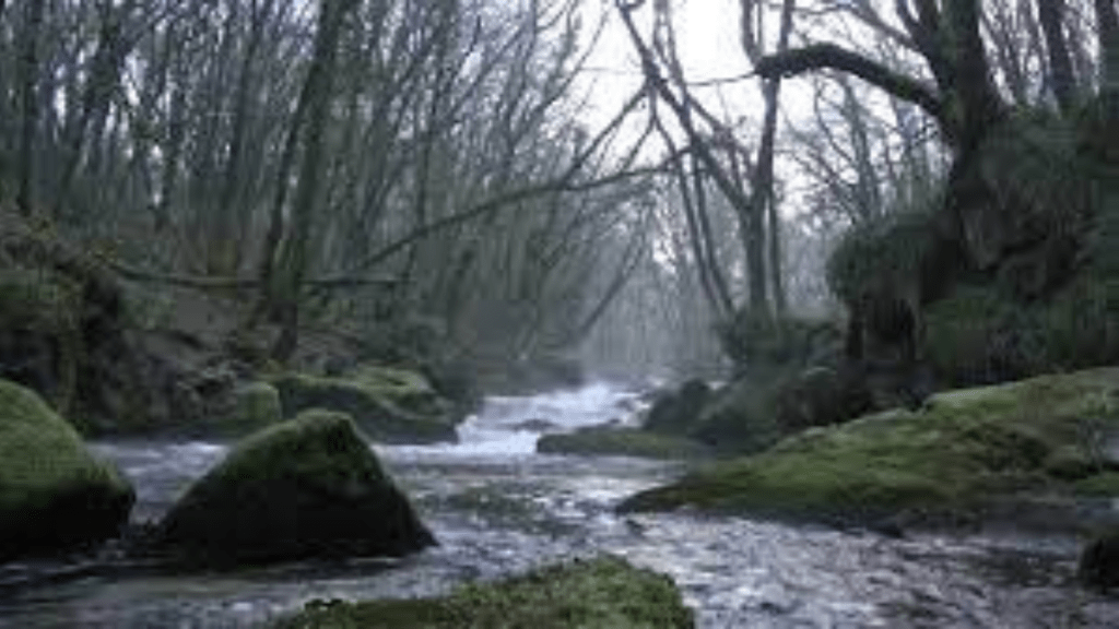 Ghost caught on camera in daylight on a Scottish river.