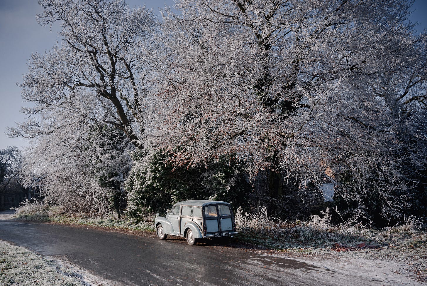 A vintage car sits alone beneath large wintery trees.