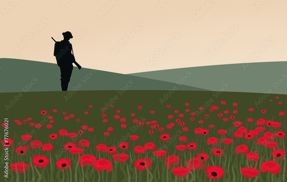 The Lone Soldier Stock Vector | Adobe Stock