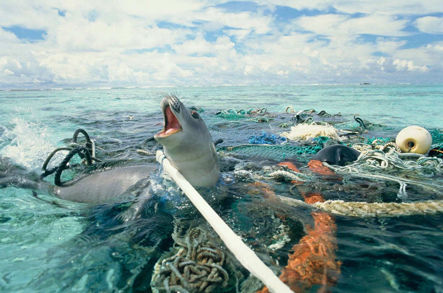 Ghost nets