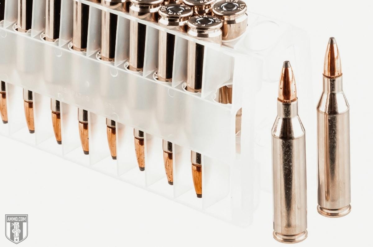 243 ammo for sale