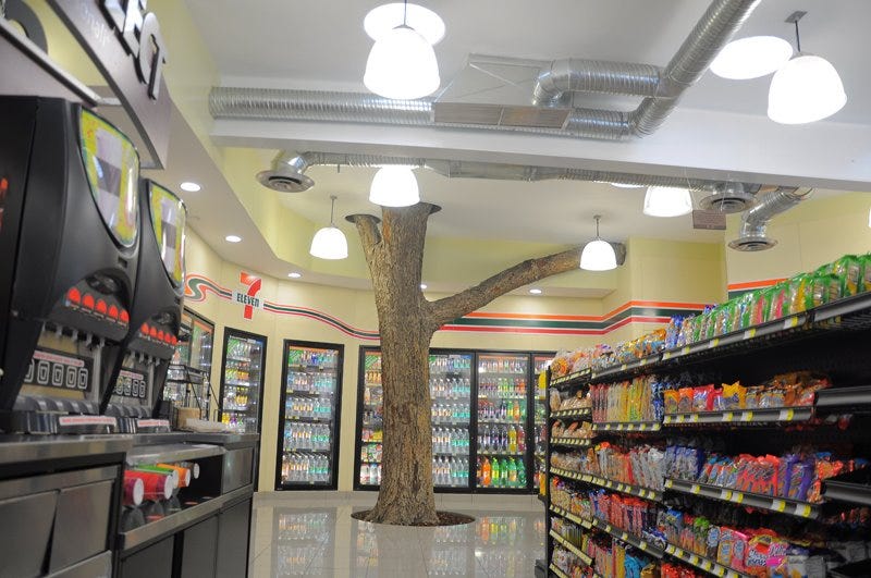 Photograph of a tree growing inside a 7-Eleven convenience store
