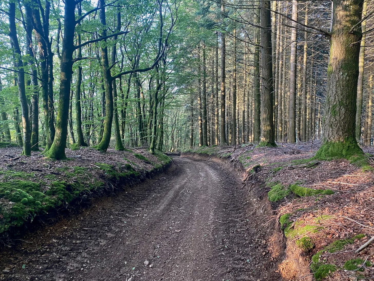 La descente La descente