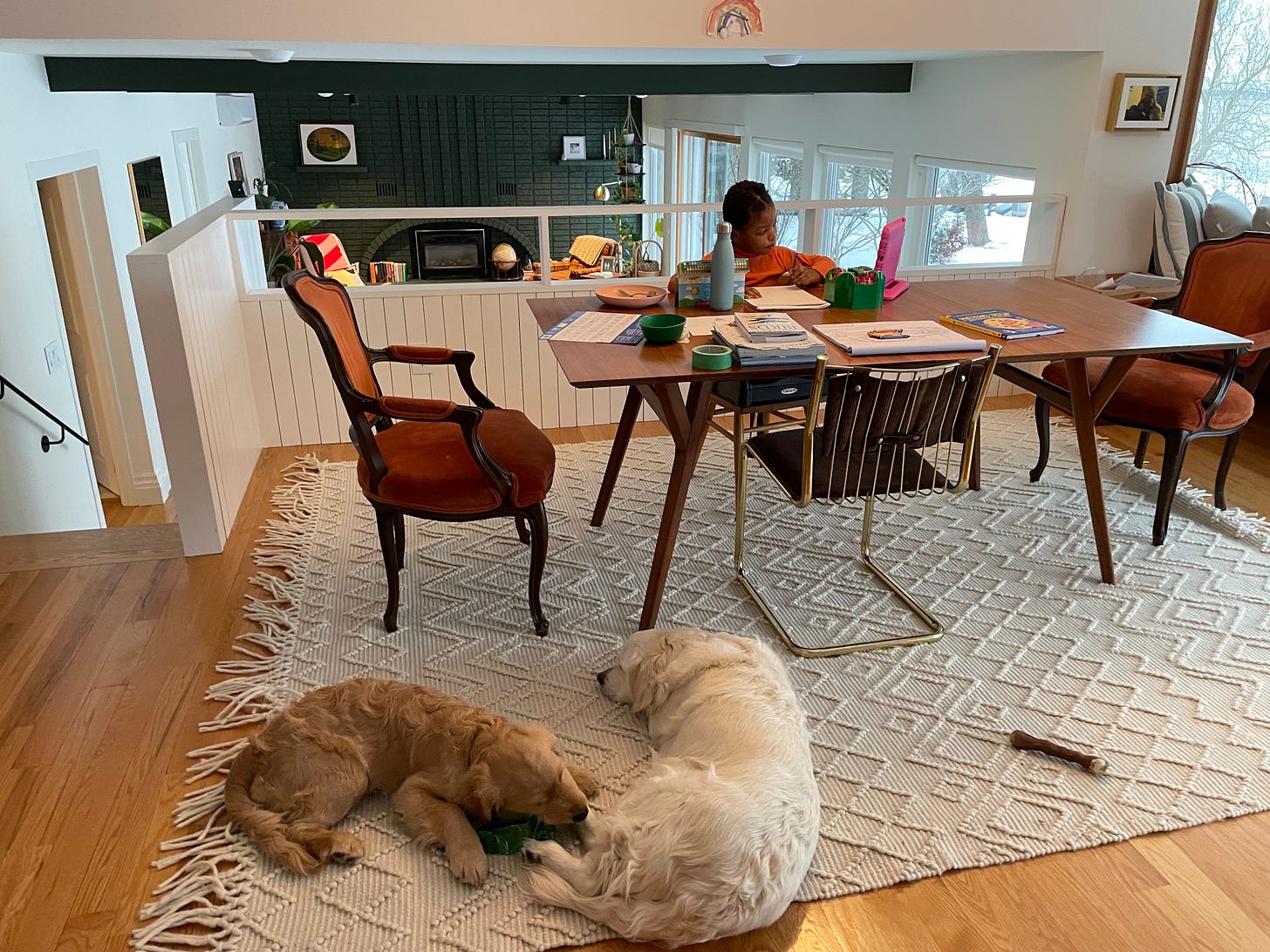 A Black kid in an orange shirt colors while two dogs sleep and play at their feet. 