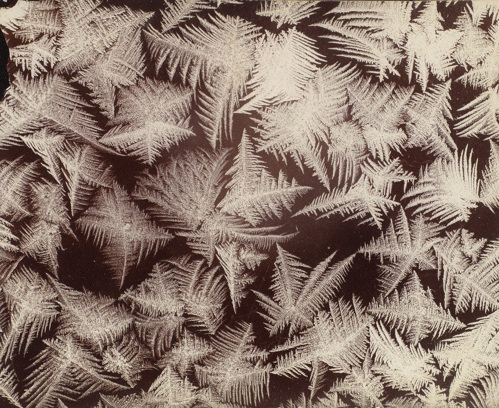 close-up photograph of frost on a window pane
