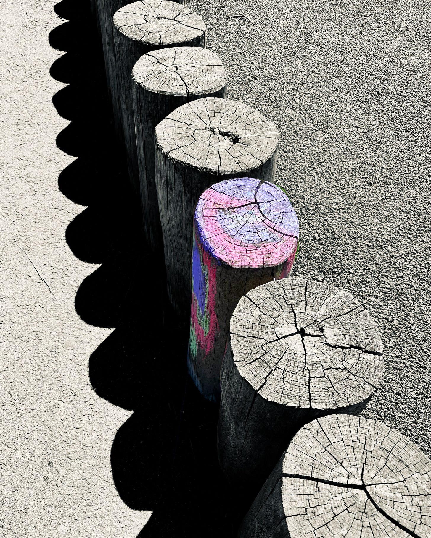 Wooden logs, one of which has been colored with bright chalk