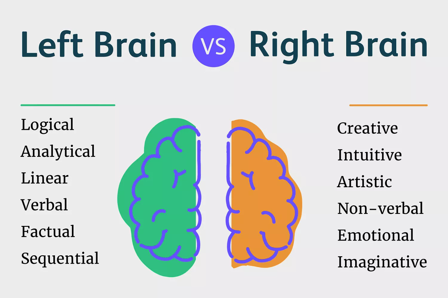 infographic illustration of right brain versus left brain 