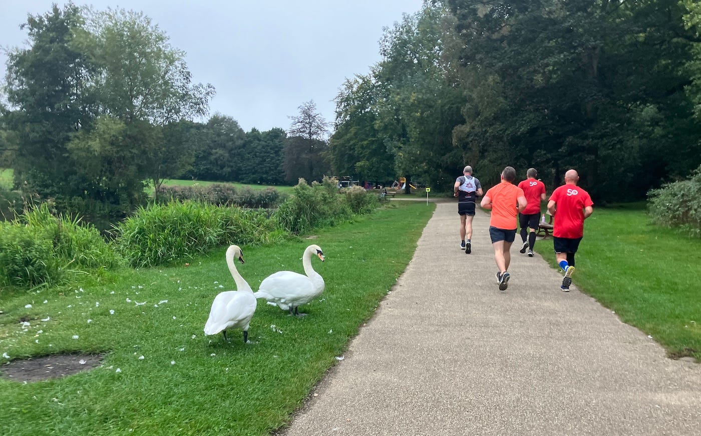 Two swans next to the path appear to be watching on as runners pass