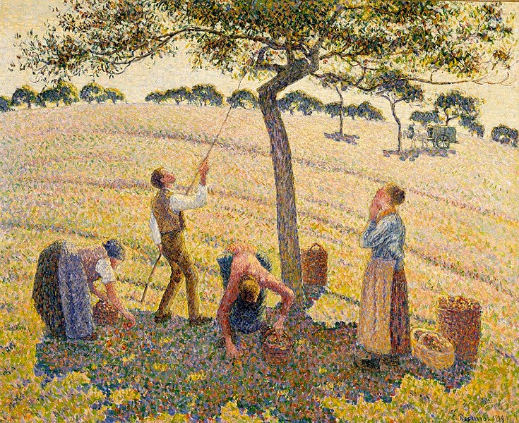 File:Camille Pissarro - Apple Harvest - 1955.17.M - Dallas Museum of Art.jpg