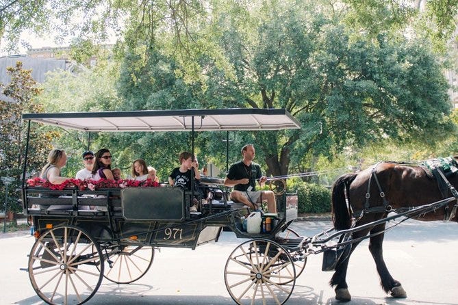 Civil War Walking and Savannah Horse & Carriage Tour Combo 2022 - Viator