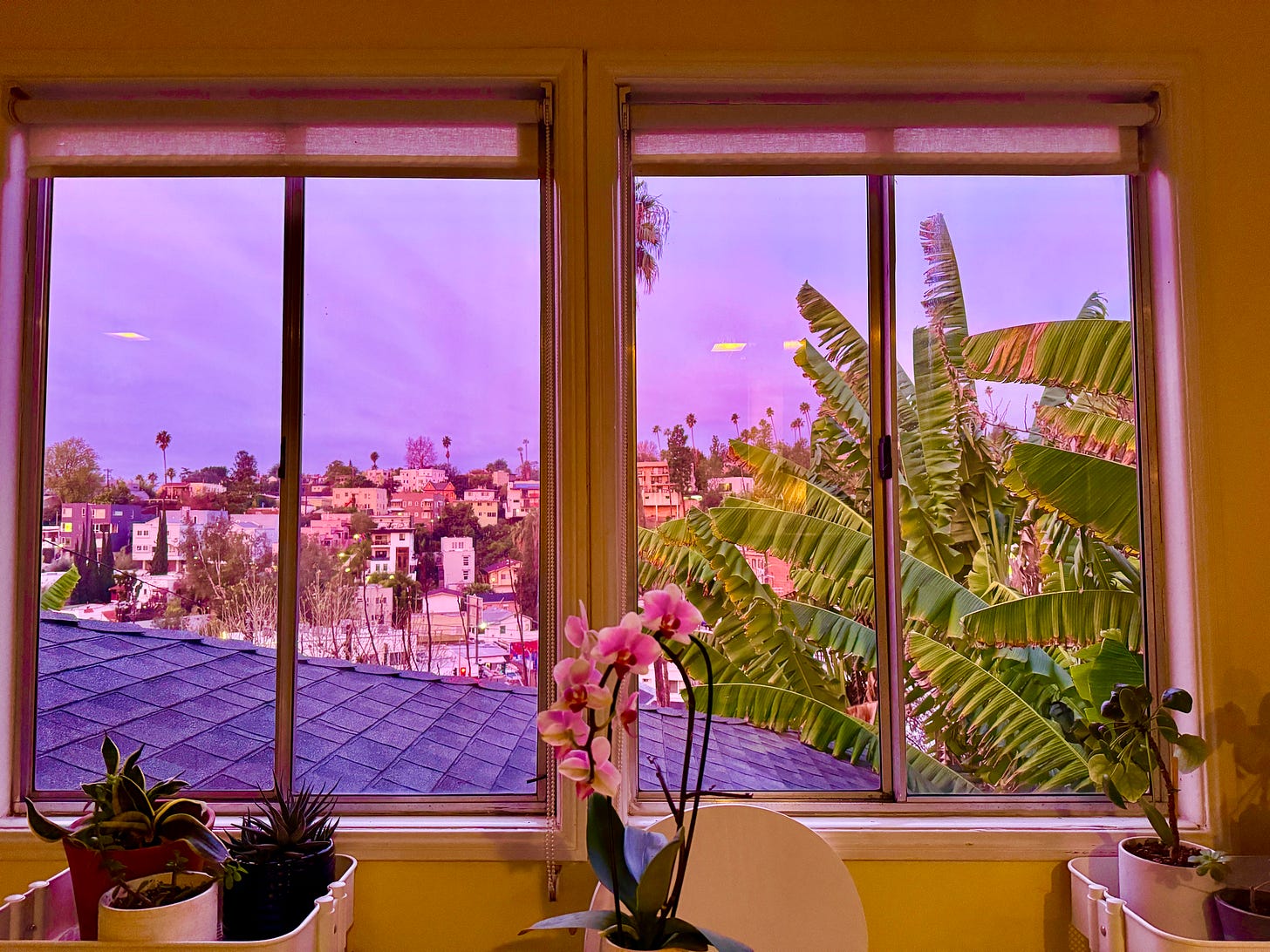 Cityscape view from window