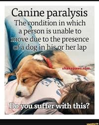 Canine paralysis The condition in which ...