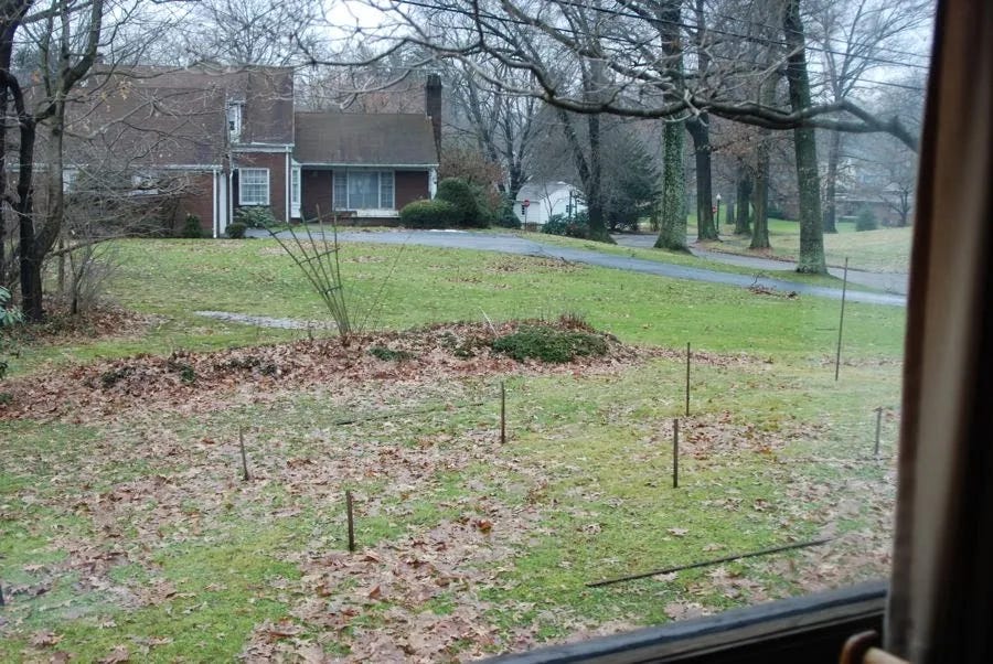 View out the eastern windows to the lawn at this same time of year in 2013. I am already planning the design, and you can see the tall post for the Trellis Wall location on the right. 