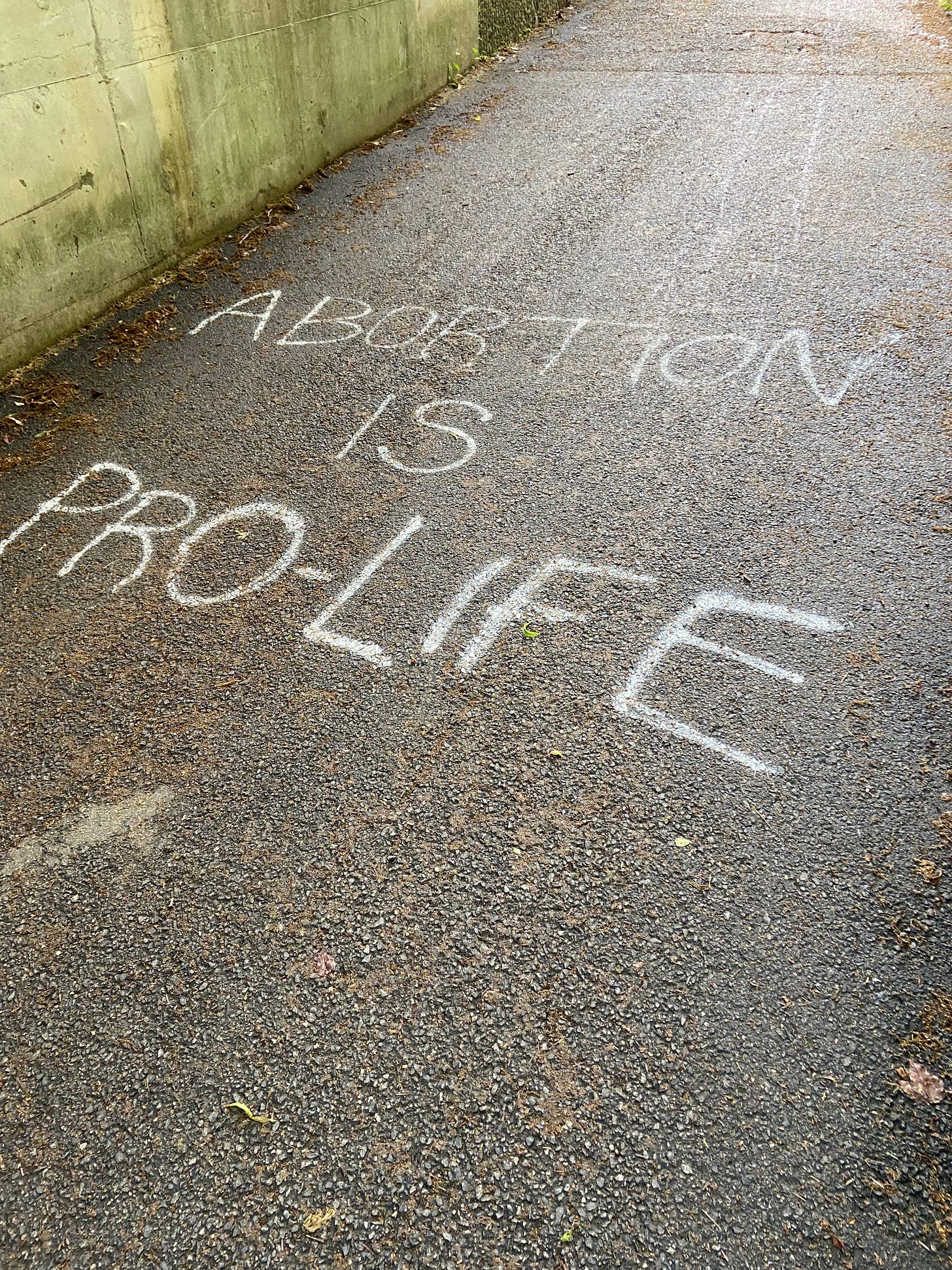 White spray paint on black pavement says ABORTION IS PRO-LIFE