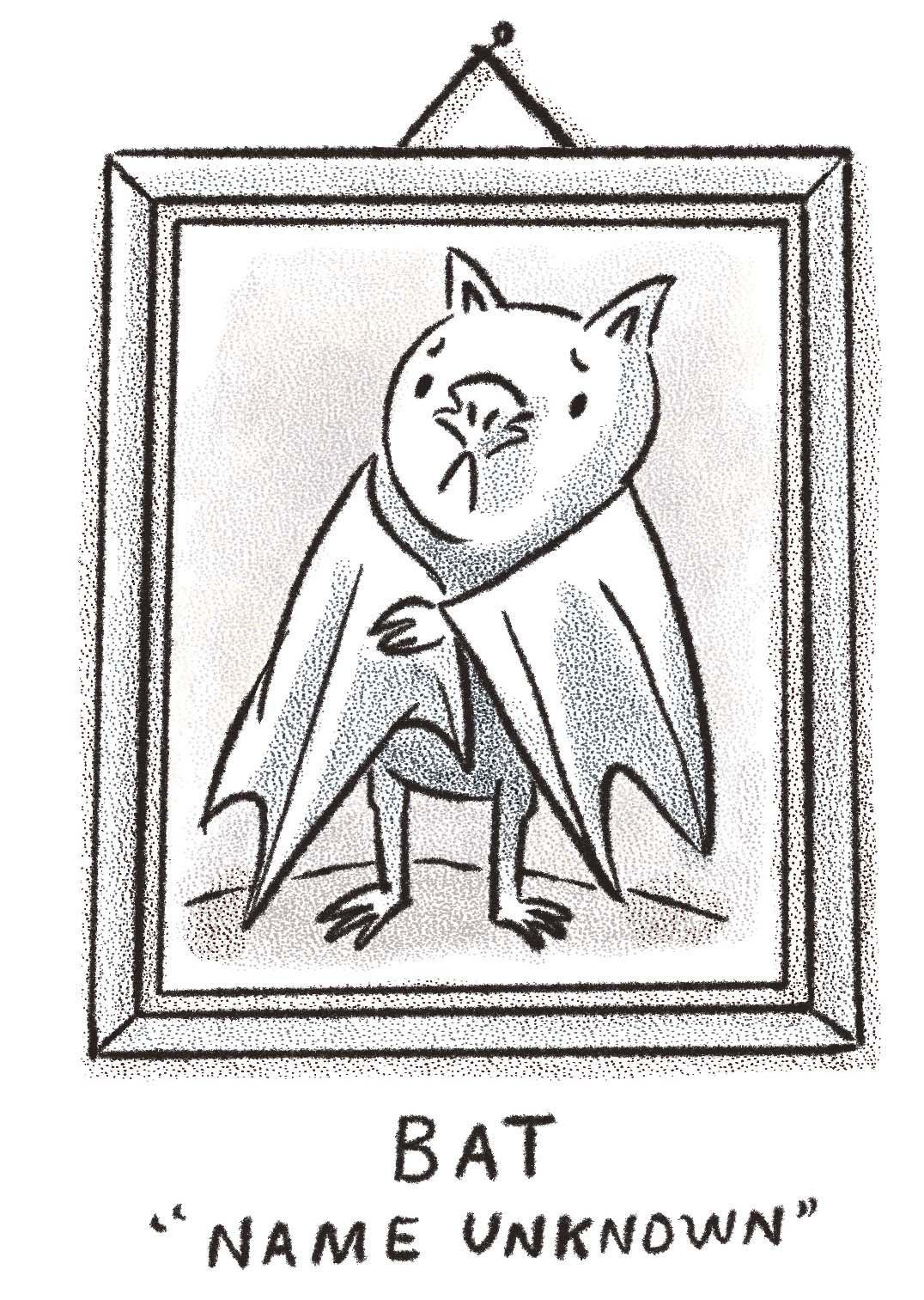 illustration of Beatrix Potter's brother's bat by Kayla Stark
