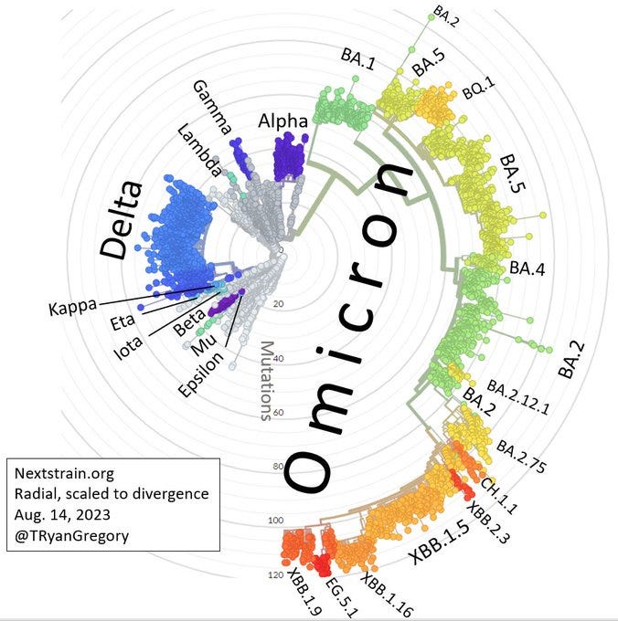 Phylogeny of SARS-CoV-2 variants from Nextstrain.org (radial, scaled to divergence) with named variants labeled. The last Greek letter assigned was "Omicron" in Nov. 2021.