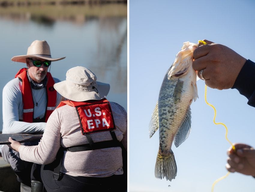 Left: U.S. Environmental Protection Agency scientists, Robert Cook, left, and Chelsea Hidalgo, prepare to set up hook nets at Fish Trap Lake Park in Dallas. Right: Charles Langoria, 47, a West Dallas resident, holds up a bass fish caught at Fish Trap Lake Park.
