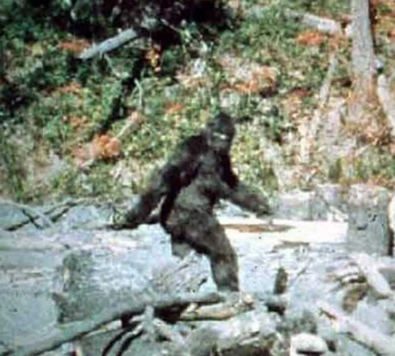 Screen Shot of the Patterson-Gimlin Bigfoot