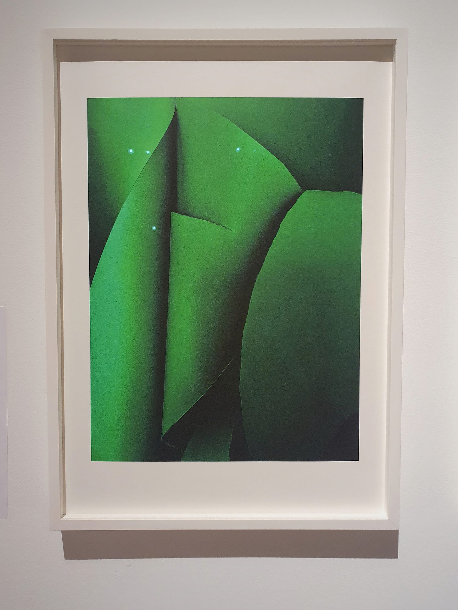 A photo of an abstract photo in green in a frame.