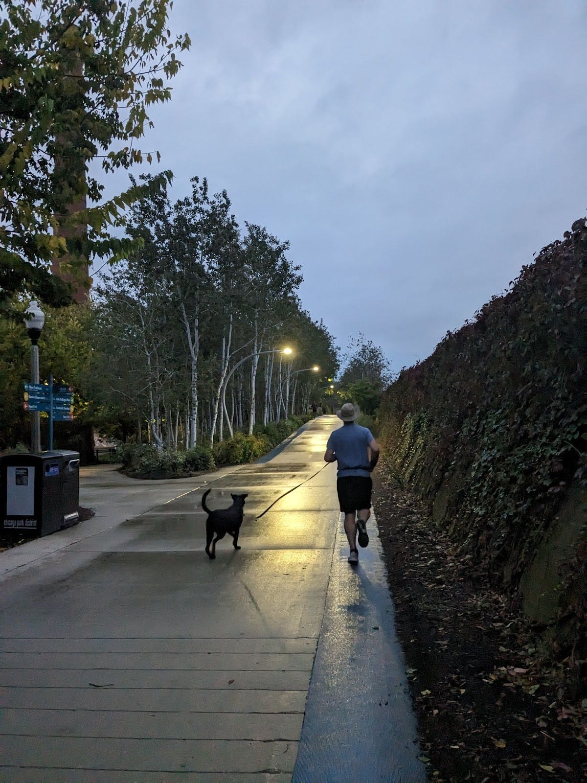 It's a rainy evening in the 606 trail in Chicago. A person runs alongside their black dog who's on a leash, running alongside tall trees
