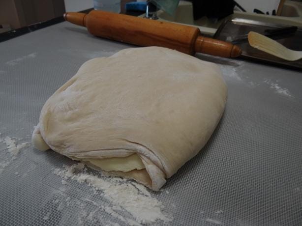 A dough on a counter

Description automatically generated