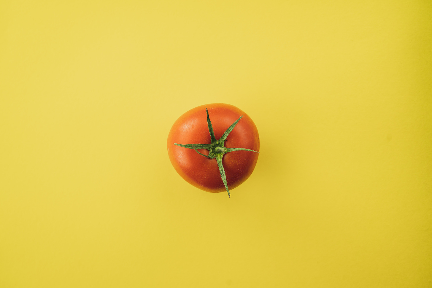 photo of a tomato