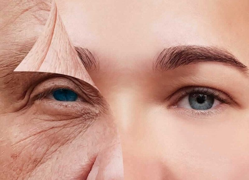 Can we 'reverse' aging? 'Reprogrammed' skin cells offer promise — but we  don't know why - Genetic Literacy Project