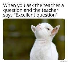 When you ask the teacher a question and the teacher says excellent question  meme - MemeZila.com