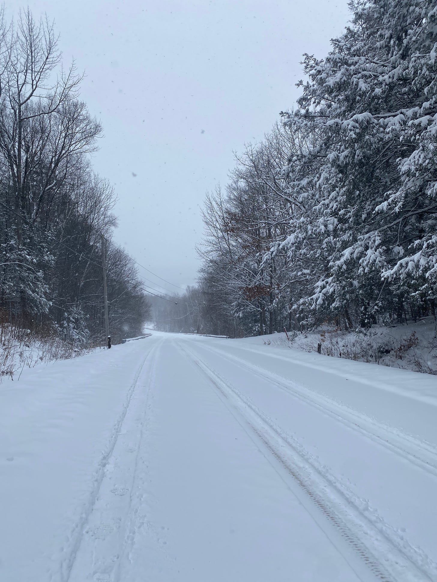 An unplowed snowy road on a grey day.