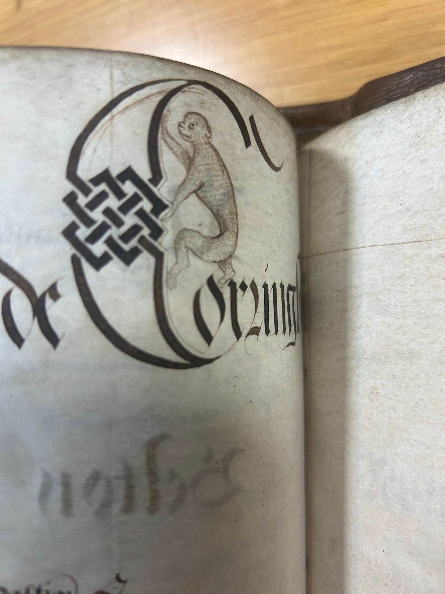 A sketched monkey inside a letter C, on parchment.