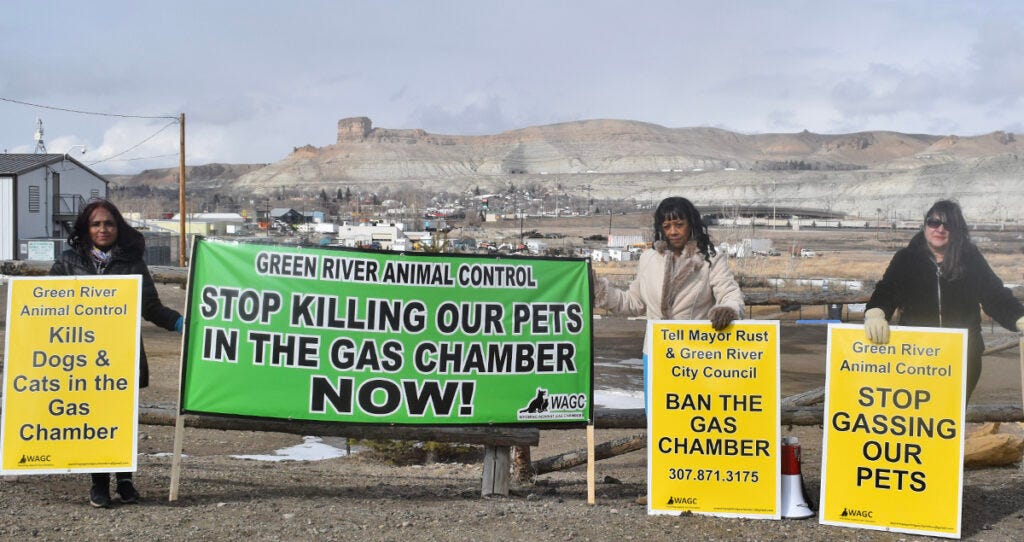 Protestors Call for End to Gas Chamber at Green River Animal Control