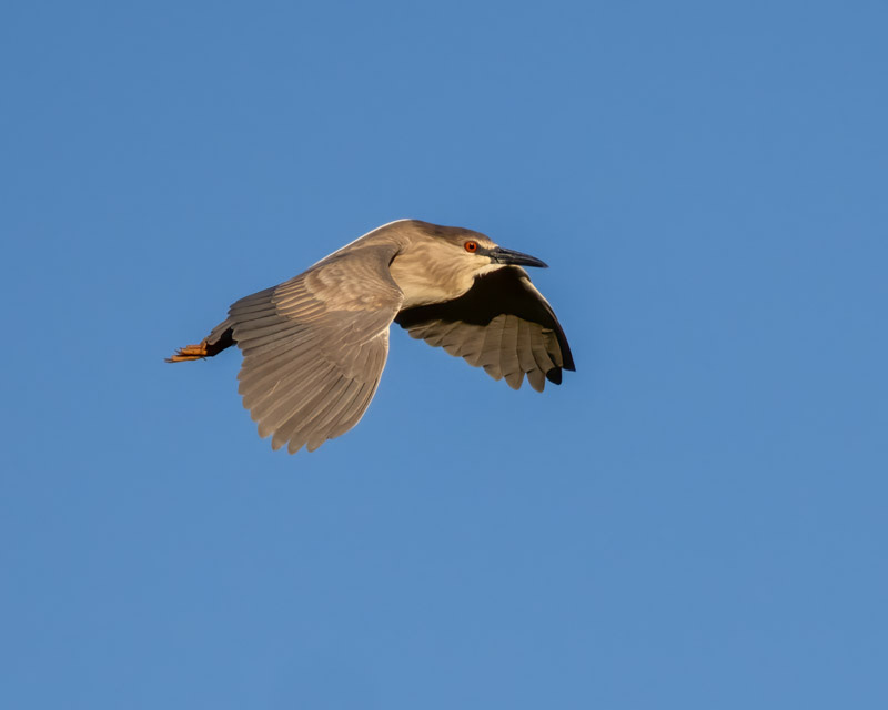 20240423-SGC-23-Edit.jpg