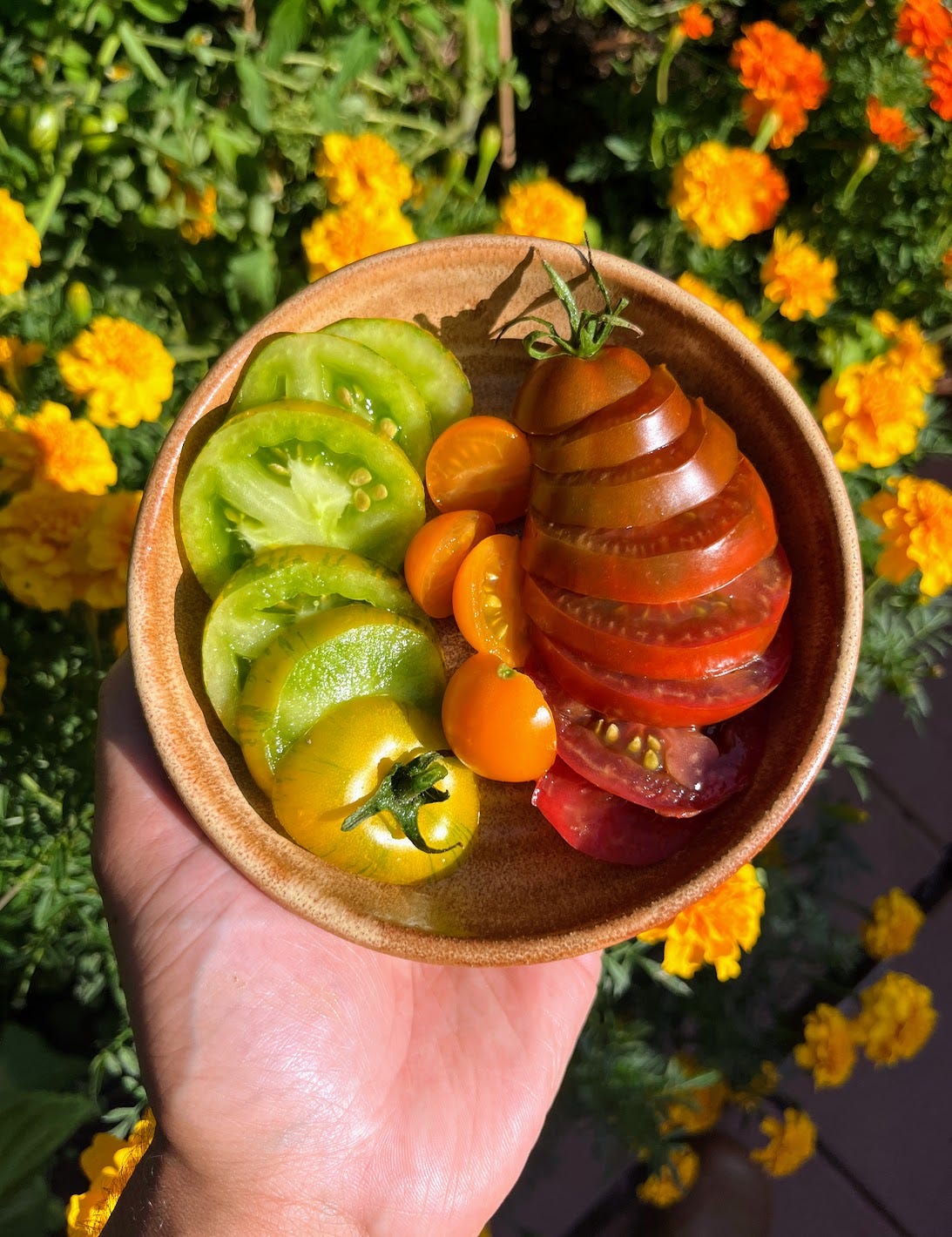 hand holding bowl of three different types of tomatoes