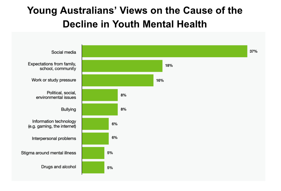 Views of Australian young people (ages 12-25) on the cause for declining mental health.