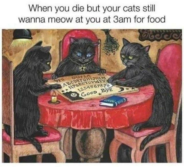 Three black cats sitting around a table using a Ouija board with the caption, "When you die but your cats still wanna meow at you at 3am for food."