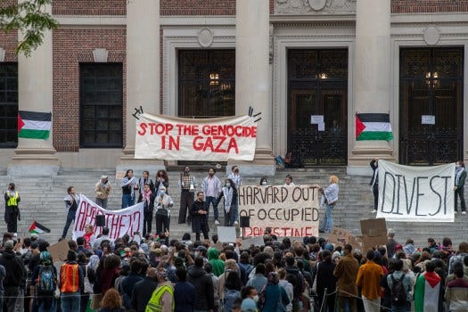 Harvard pro-Palestinian 'die-in' to be followed by 'walk-out' today