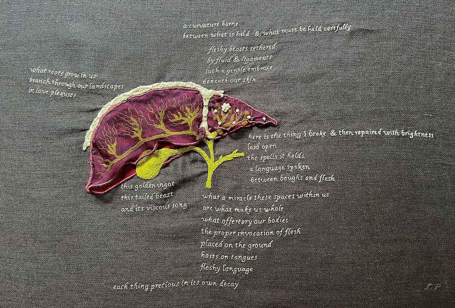 tethered by fluid & ligaments (2023)   A red & purple organza liver basted onto grey linen. The biliary system with all its branches between the two layers of organza is filled with bilious green. There are small yellow beads on the biliary system inside the smaller lobe. There are white beads sewn on the narrow end of the top organza liver. An arched T shape filled with tight crisscrossing stitches in thick off-white thread separates the large & small lobes of the liver and curves over the top. There are various blocks of text stitched in light grey single strand thread around the image. They read: What roots grow in us. Branch through our landscapes. In love plexuses. a curvature borne. between what is held & what must be held carefully. fleshy beasts tethered. By fluid and ligaments. Such a gentle embrace. Beneath our skin. Here is the thing I broke & then repaired with brightness. Laid open. The spells it holds. A language spoken. Between boughs & flesh. this golden ingot. This tailed beast. And its viscous song. What a miracle these spaces within us. Are what make us whole. What offertory our bodies. The proper invocation of flesh. Placed on the ground. Hosts on tongues. Fleshy language. Each thing precious in its own decay. 