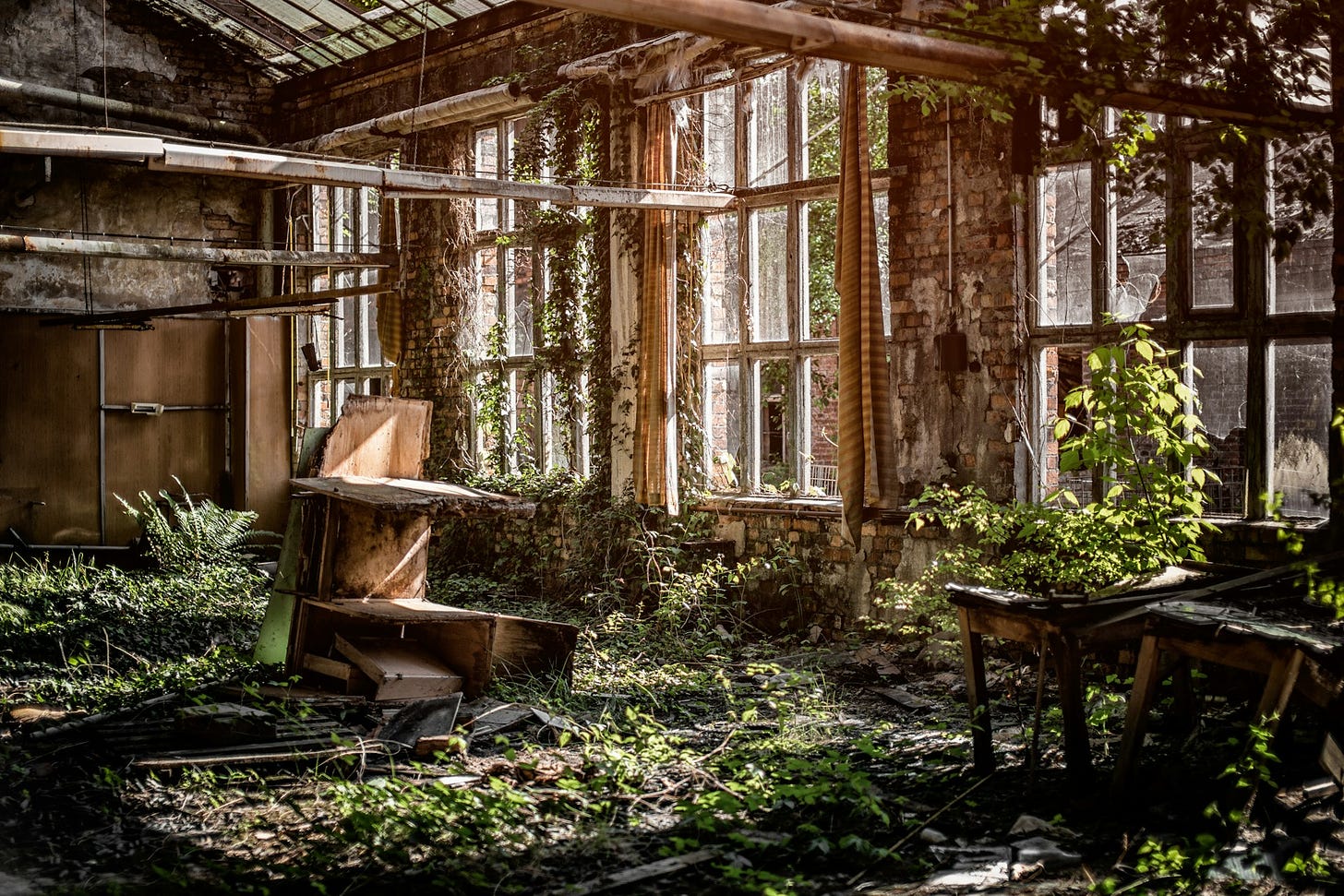 Image is a photo of a large room with enormous multi-paned skylights and windows and scattered furniture. The room is overtaken by ivy, plants, and moss growing everywhere across the floor and up the walls. Sunlight is pouring in through the windows.