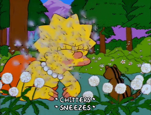 Lisa Simpson sneezing and suffering in the forest