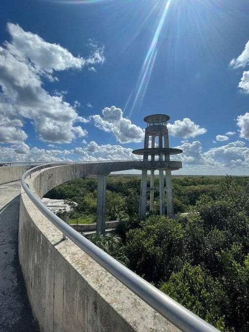 Photo provided by Everglades National Park Service. 