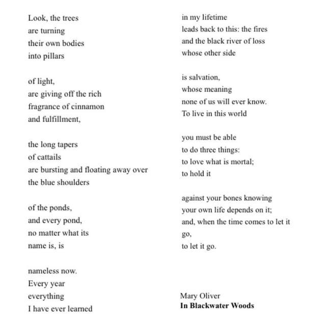 r/Poetry - [poem] In Blackwater Woods by Mary Oliver